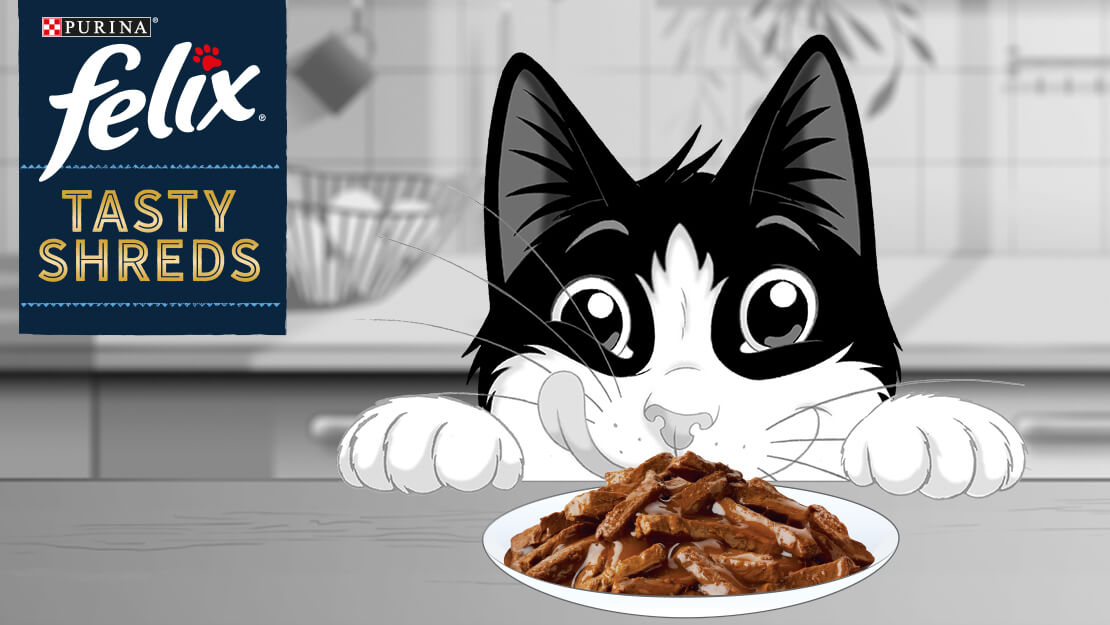 Purina shreds hot sale